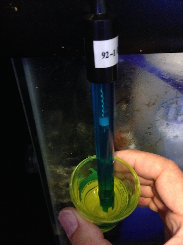ph-probe-calibration.jpg