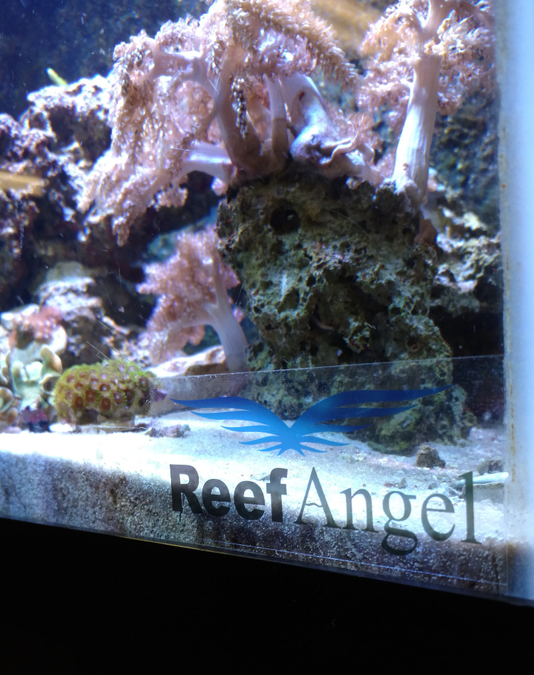 reefangel decal