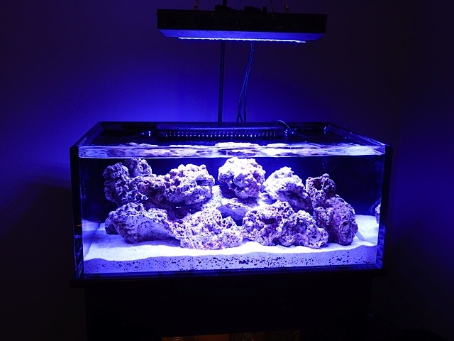 DSCF0246.jpg