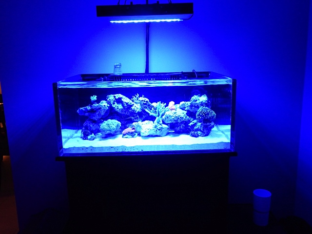 DSCF0248.jpg