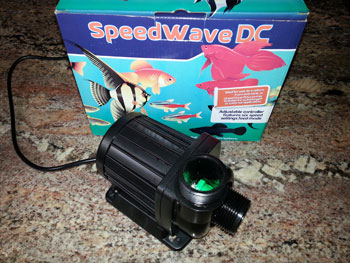 Speedwave.jpg