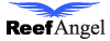 Reef Angel Logo